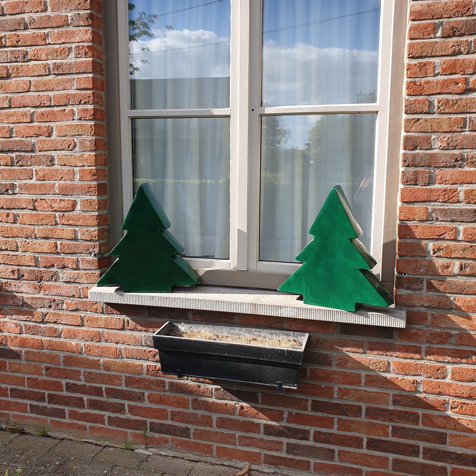 2 kerstbomen, Enlèvement