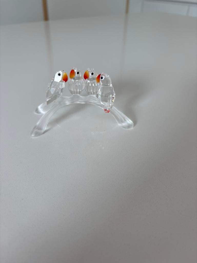 Mooie dwergpapegaaien Swarovski, Enlèvement, Comme neuf