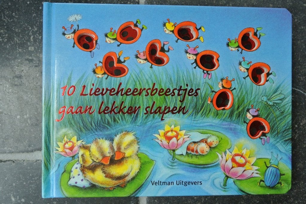 10 lieveheersbeestjes gaan lekker slapen, Ophalen of Verzenden