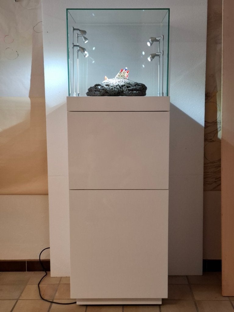 Glasvitrine voor juwelen, horloges, kunst, Ophalen