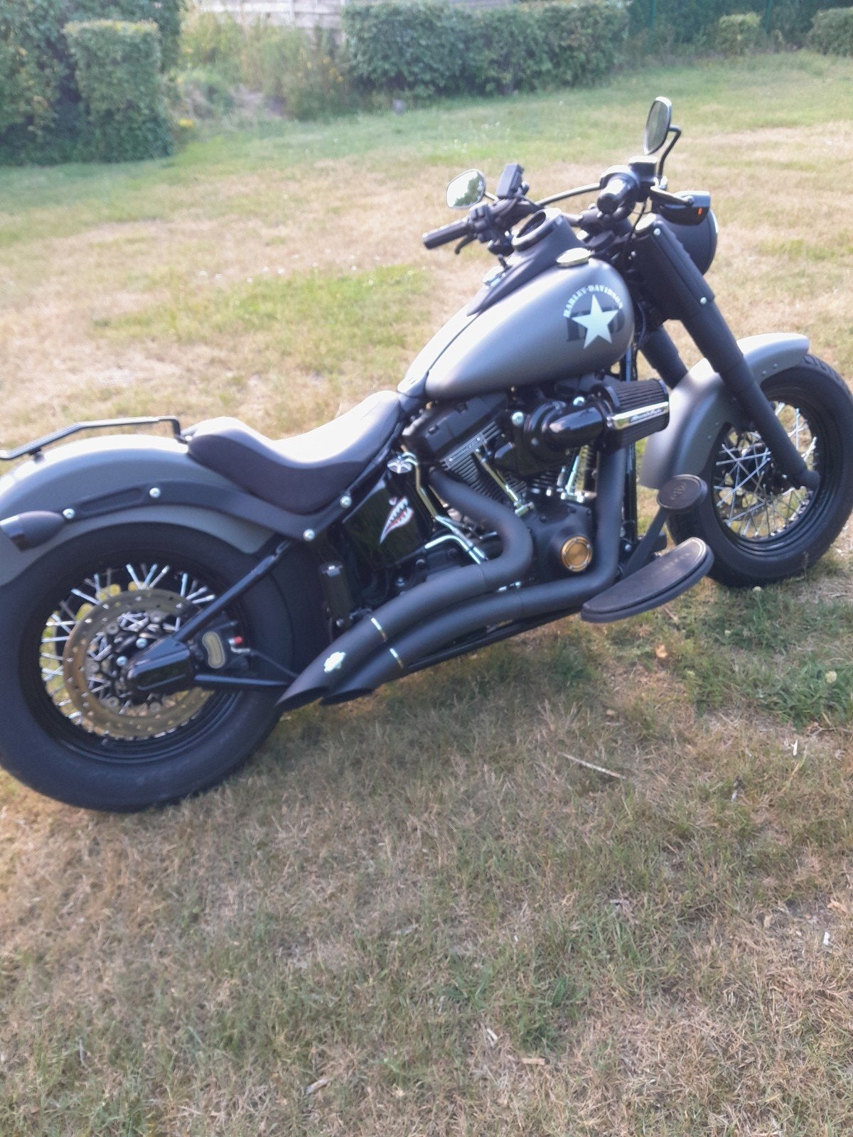 harley softaul slim s, Motoren, Particulier