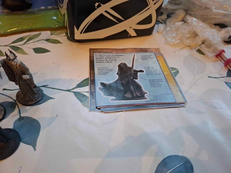 Collection LOTR - Lot de 100 figurines en plomb, Enlèvement, Utilisé, Figurine