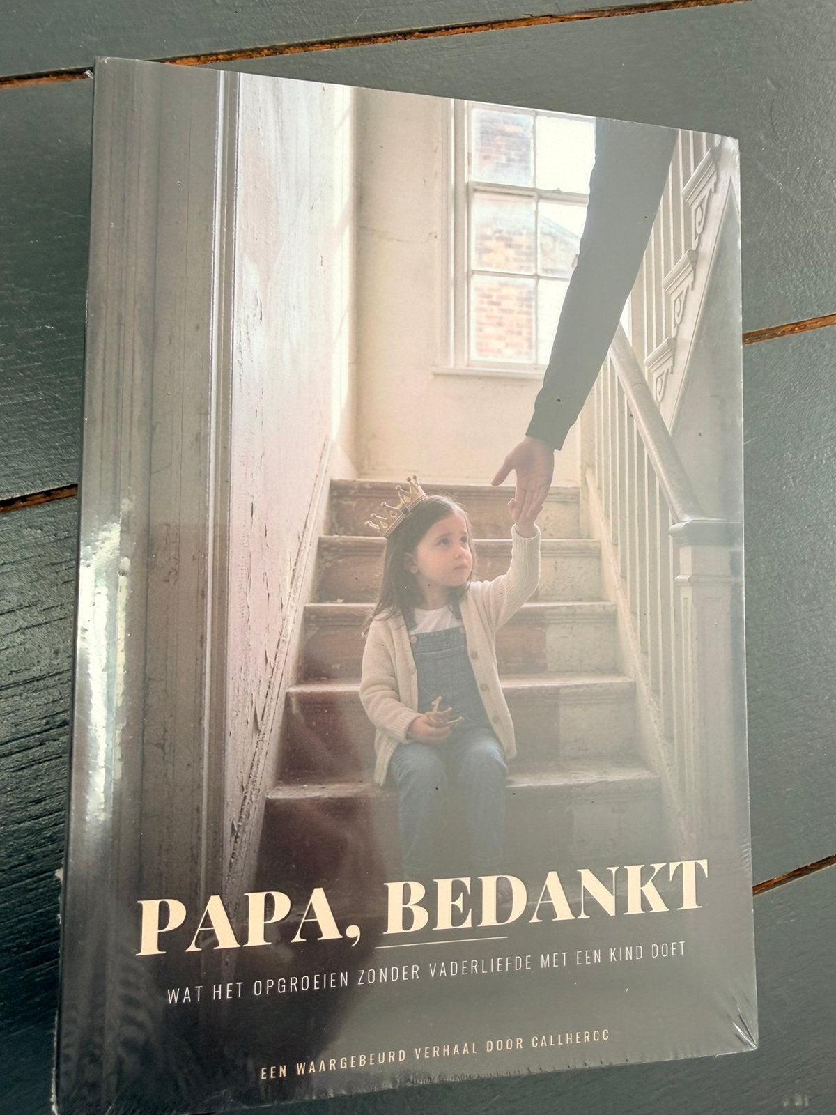 Boek papa bedankt, Boeken, Ophalen of Verzenden, Zo goed als nieuw