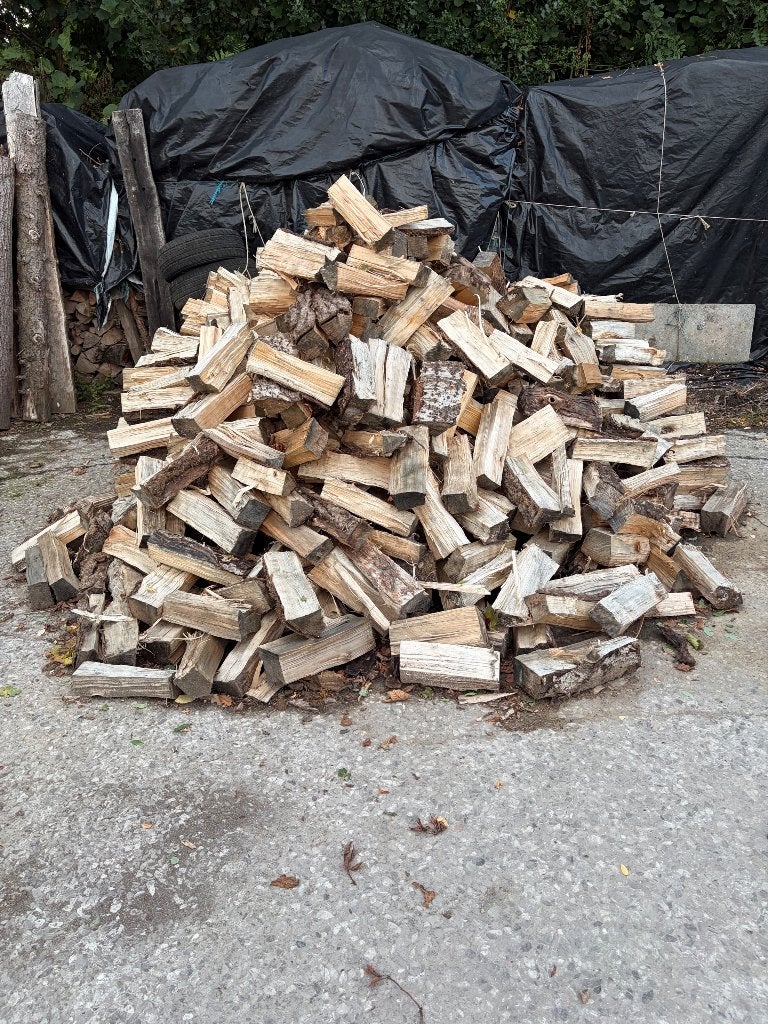 Halfdroog brandhout abeel gekloven, 3 à 6 m³, Enlèvement, Autres essences de bois, Bûches