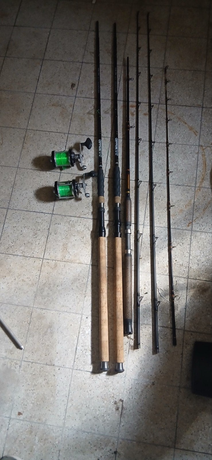 2 cannes à pêche Walker + 2 moulinets Big Game 10000i, Enlèvement, Neuf, Moulinet