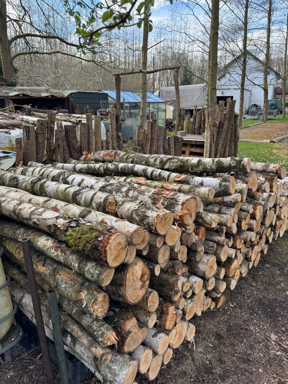 Brandhout berk op stukje van 2 meter. Makkelijk te vervoeren, 6 m³ of meer, Ophalen, Berkenhout, Stammen
