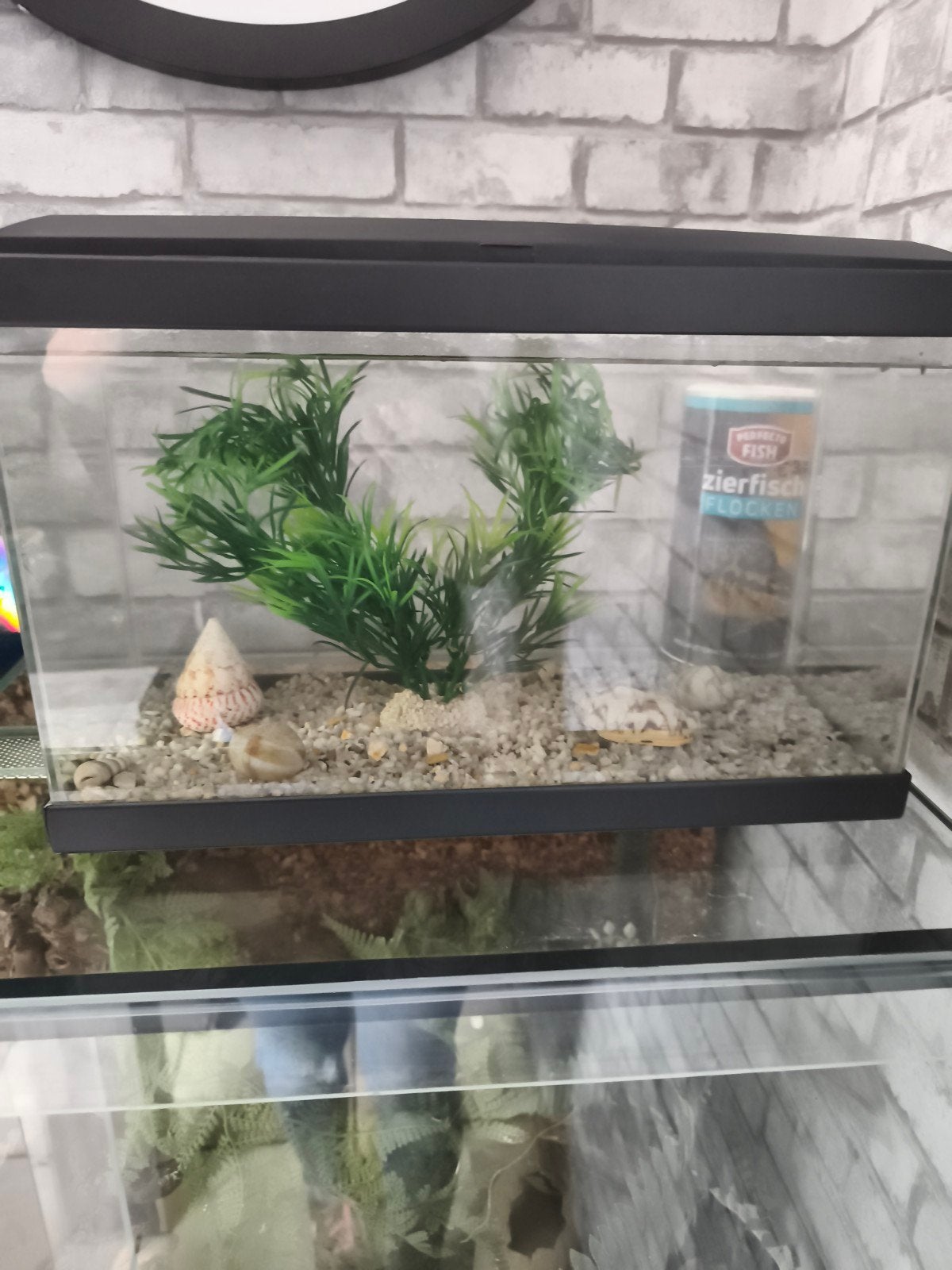 Aqarium te koop, Ophalen