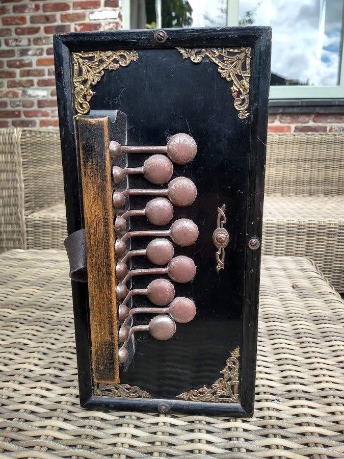 Accordeon, Musique & Instruments, Musiques & Instruments Autre, Enlèvement, Utilisé