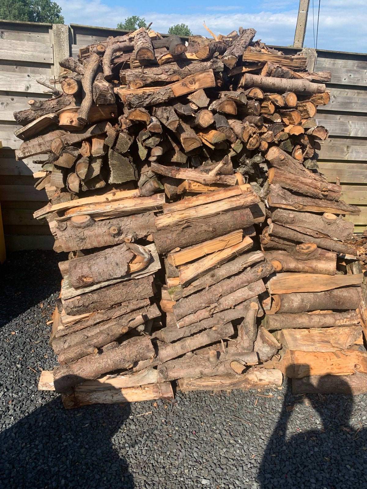Brandhout te koop (laatste 3 foto’s = gratis), 6 m³ of meer, Ophalen, Overige houtsoorten, Blokken