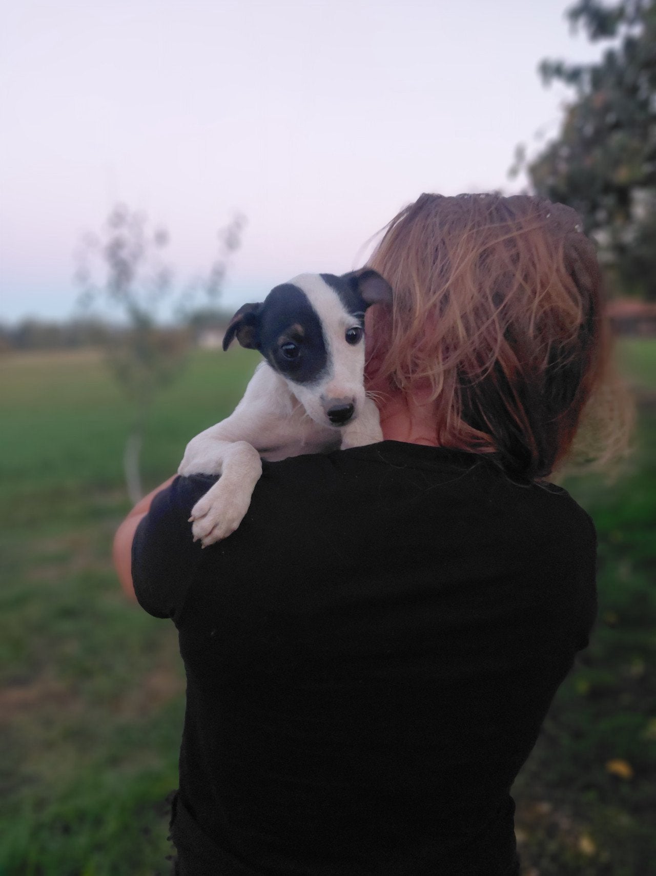Puppy zoekt nieuw thuis, Particulier, 15 weken tot 1 jaar, Overige rassen, Buitenland