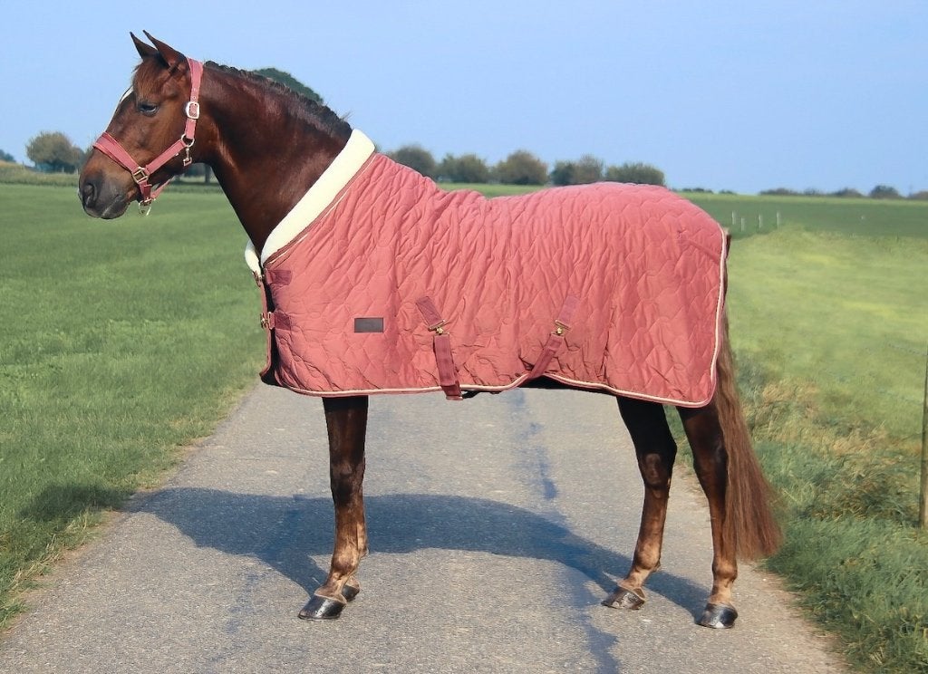 Profi-Rider Showdeken 250g Velvet Pink Roze 195 SALE, Dieren en Toebehoren, Full (L), 250 g, Overige merken, Ophalen of Verzenden