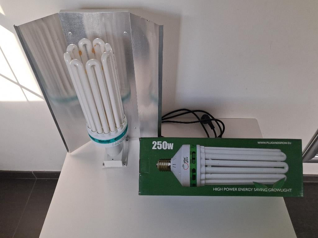 Bloeilamp 250W + armatuur (nieuw), Ophalen, Nieuw, Kweeklamp