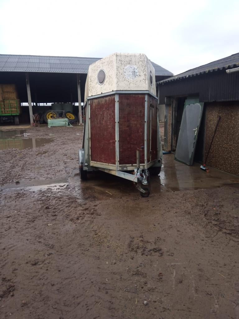 Remorque pour chevaux avec travaux., Animaux & Accessoires, Chevaux & Poneys | Semi-remorques & Remorques, Utilisé, Remorque 2 chevaux