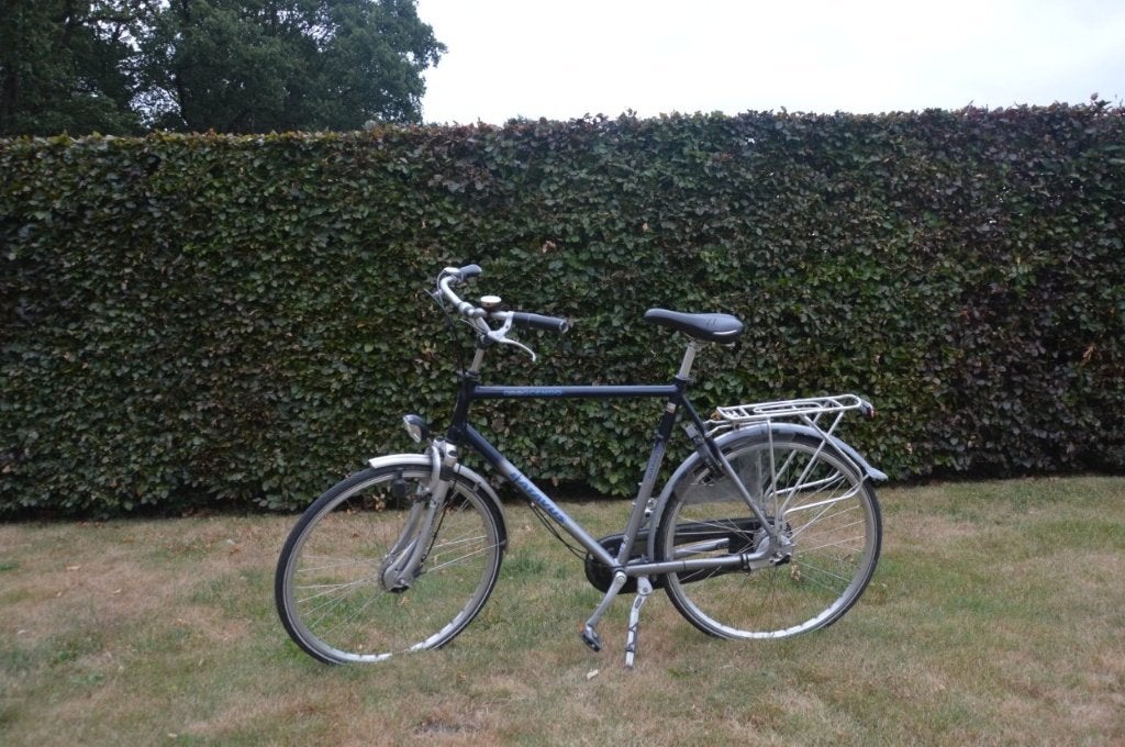 Herenfiets Batavus, Fietsen en Brommers, Ophalen, Gebruikt, Versnellingen, Batavus