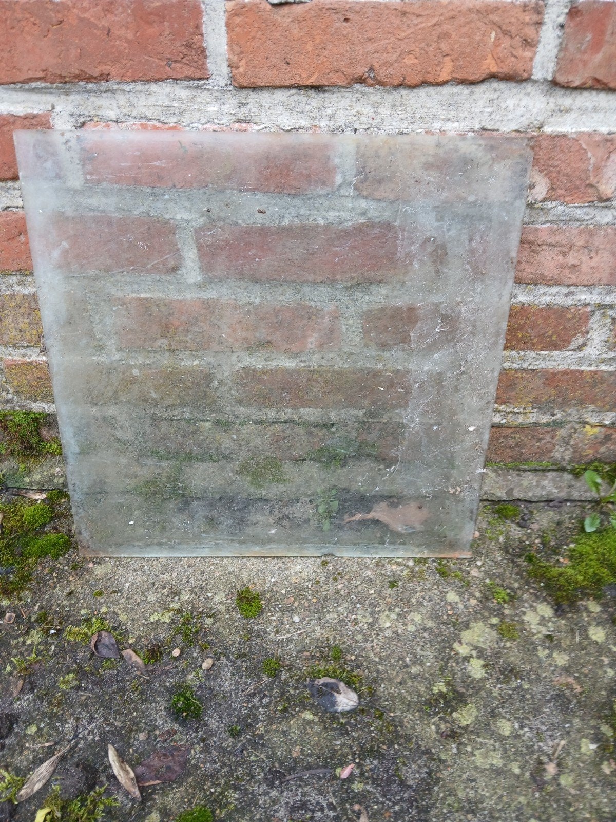 Panneau en verre plat pour véranda., Bricolage & Construction, Panneau vitré, Enlèvement, Utilisé, Moins de 80 cm