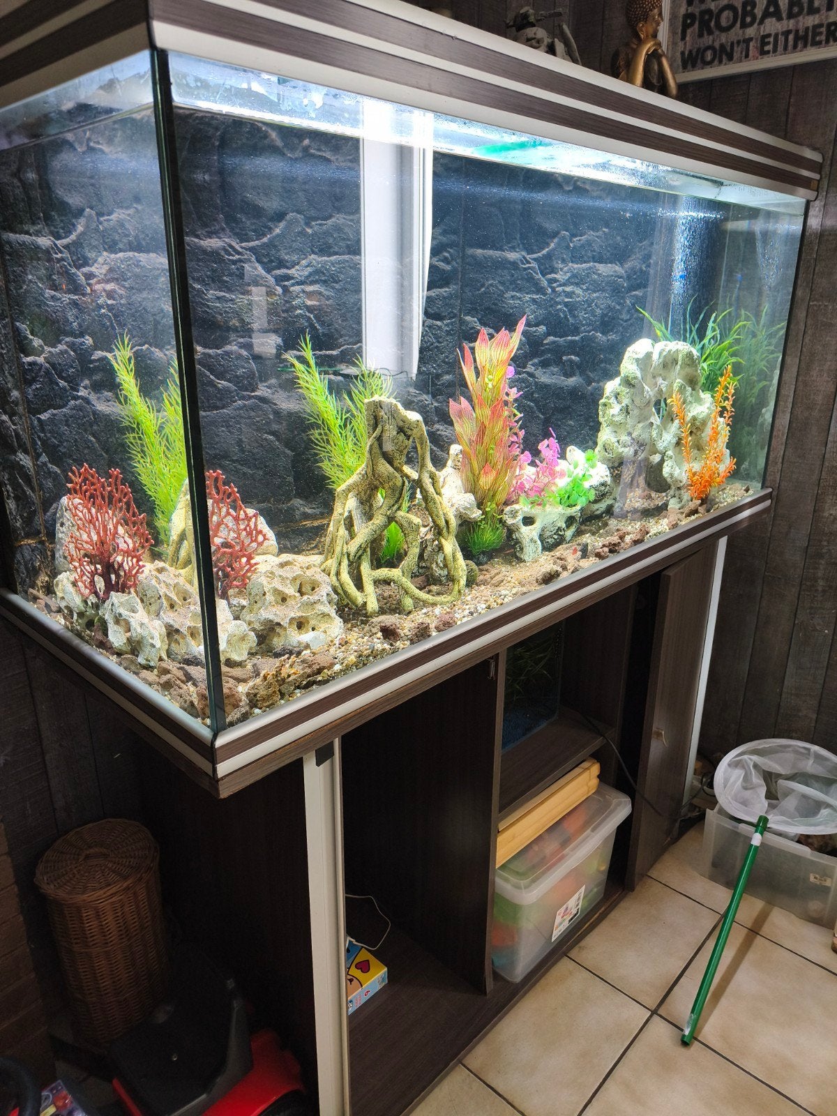 zoetwater aqarium, Enlèvement, Accessoires inclus, Aquarium d'eau douce rempli, Aquatlantis