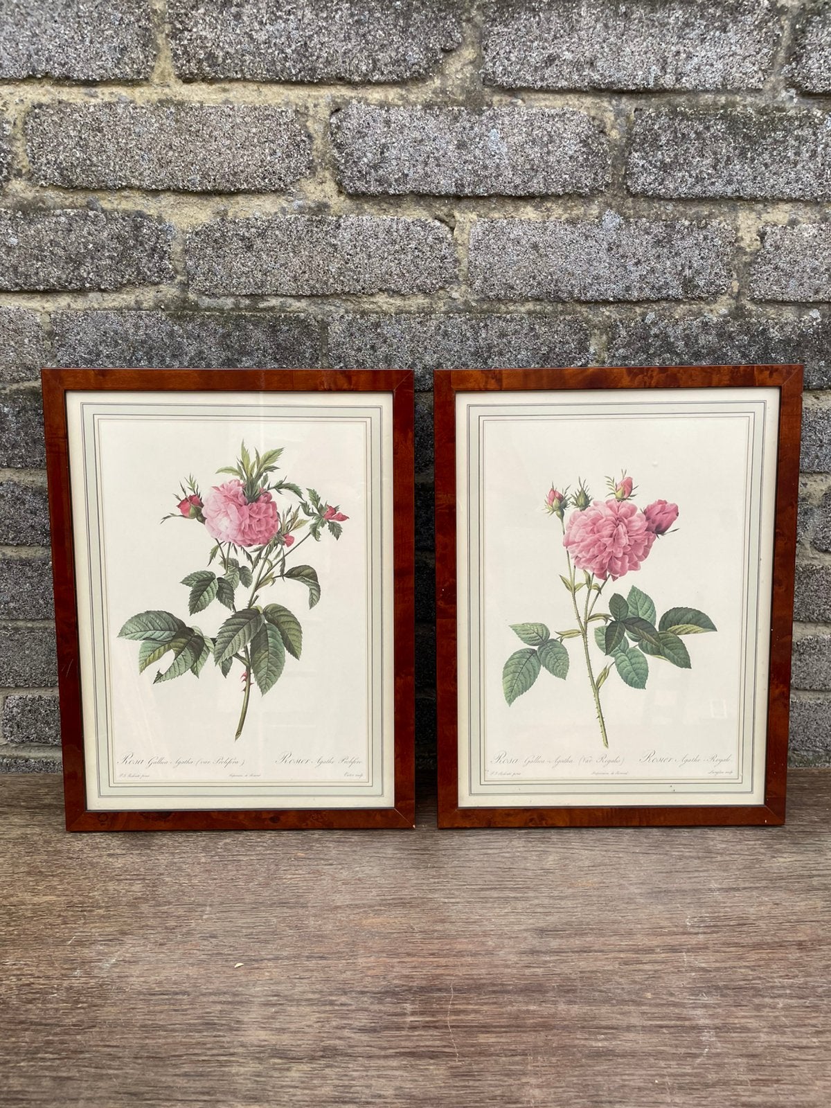 botanische rozenprints naar Pierre-Joseph Redouté, Enlèvement, Comme neuf, Bois, Marron