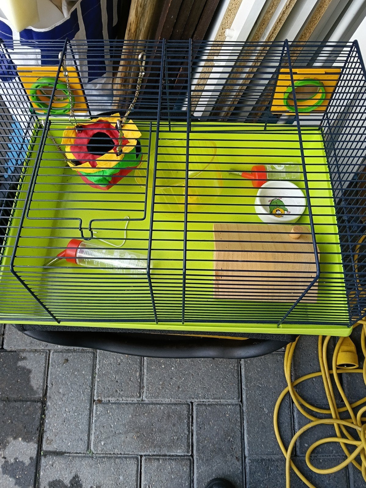 Kooi knaagdieren, Ophalen, Kooi