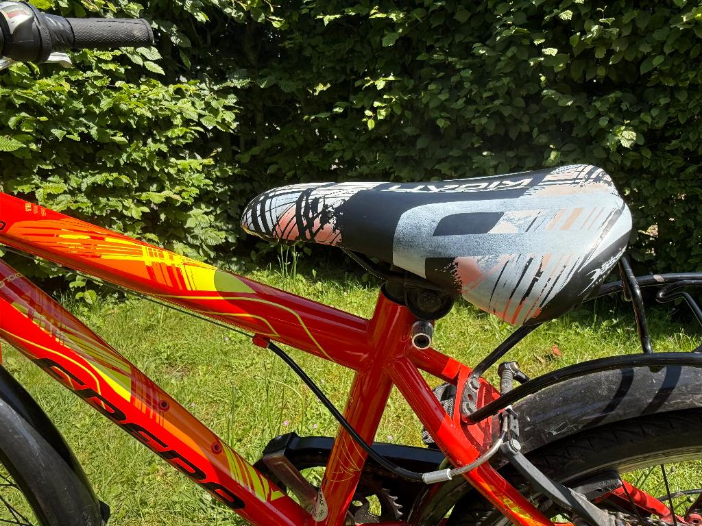 Jongensfiets, Enlèvement, Utilisé, Frein sur jante, 20 pouces ou plus