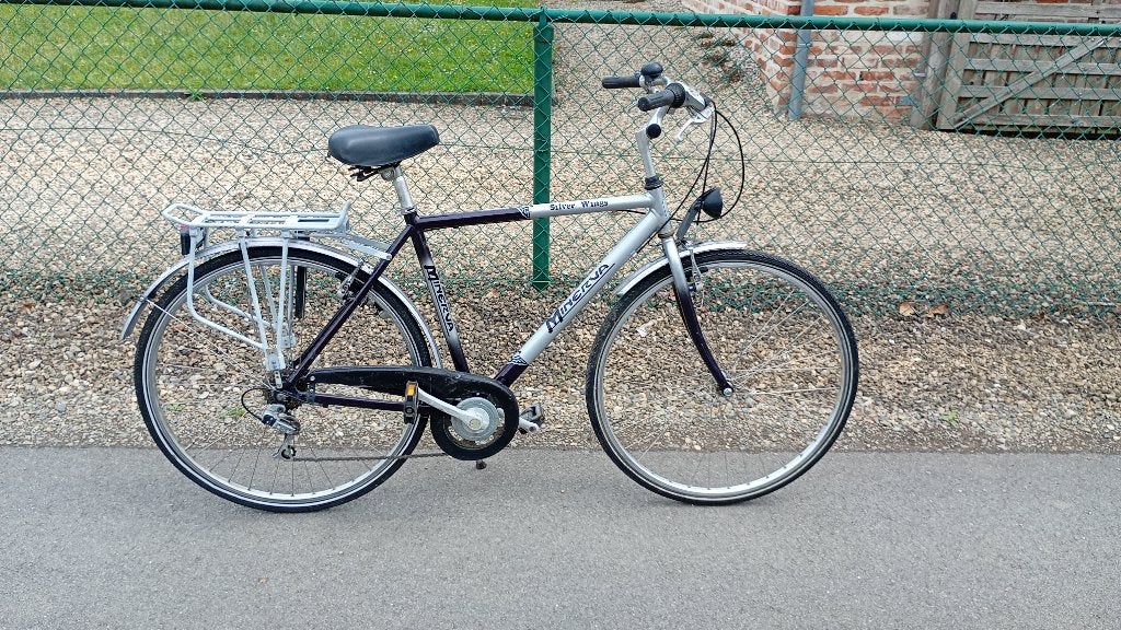 Minerva, Vélos & Vélomoteurs, 53 à 57 cm, Enlèvement, Vitesses