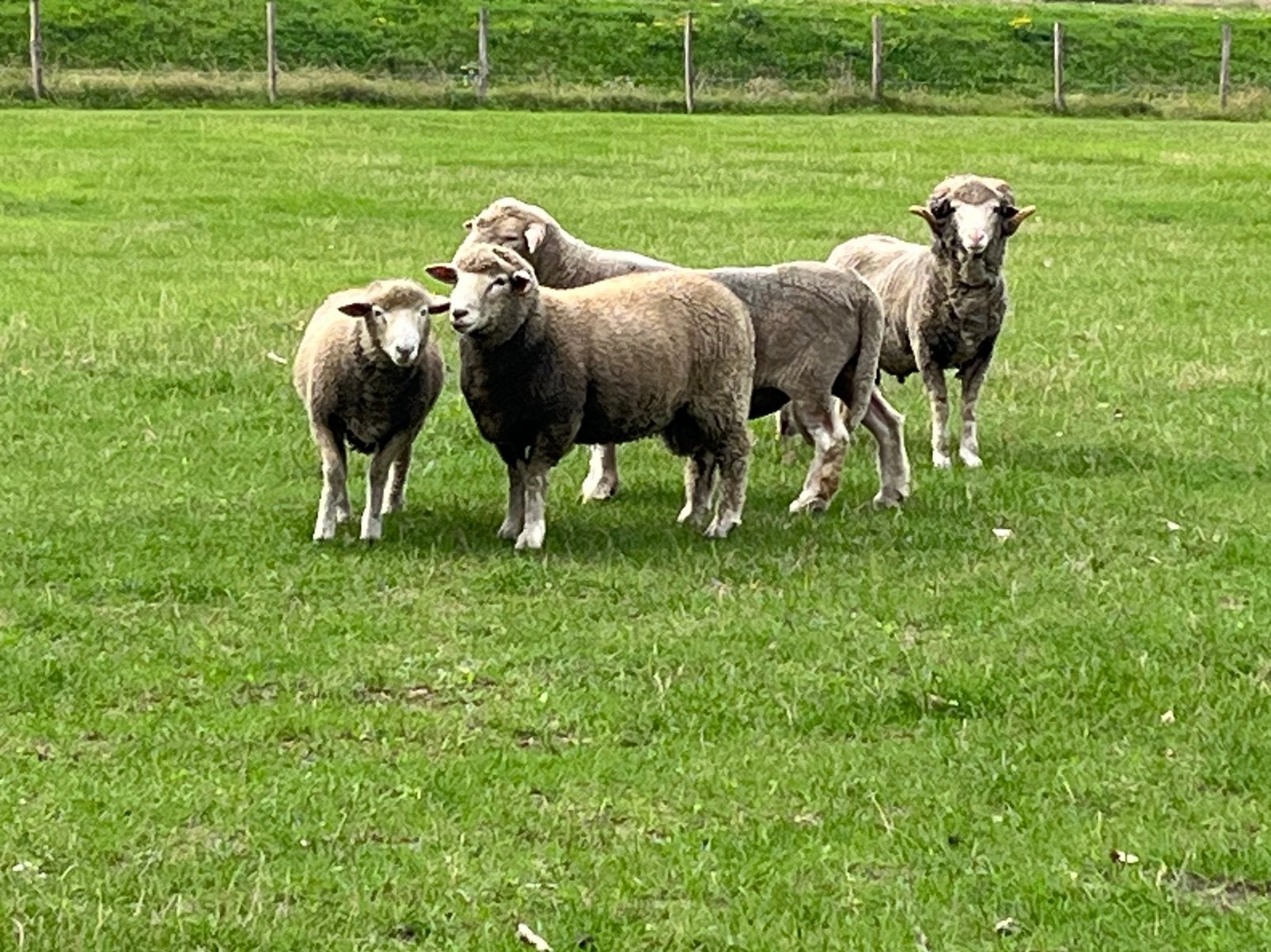 2r rammen te koop
