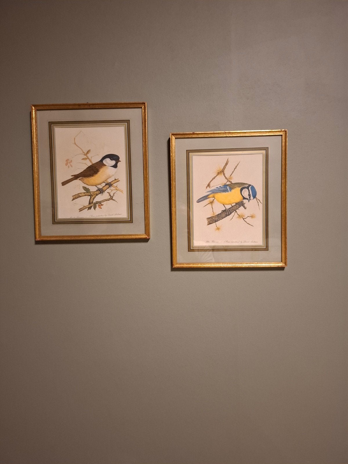 kaders met vogeltjes, Huis en Inrichting, Ophalen
