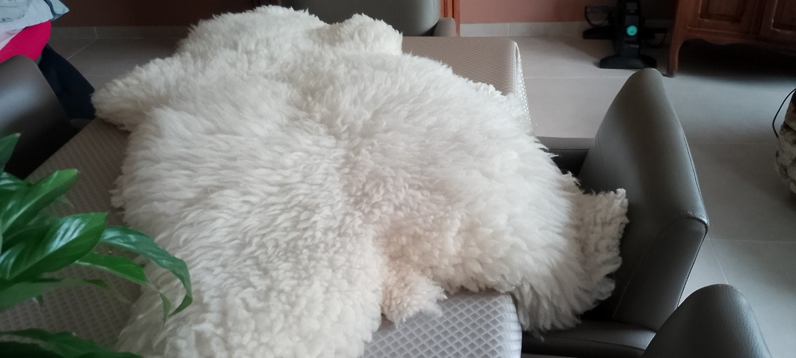 peau de mouton en pure laine, Peau de mouton, Enlèvement ou Envoi, Beige, Utilisé