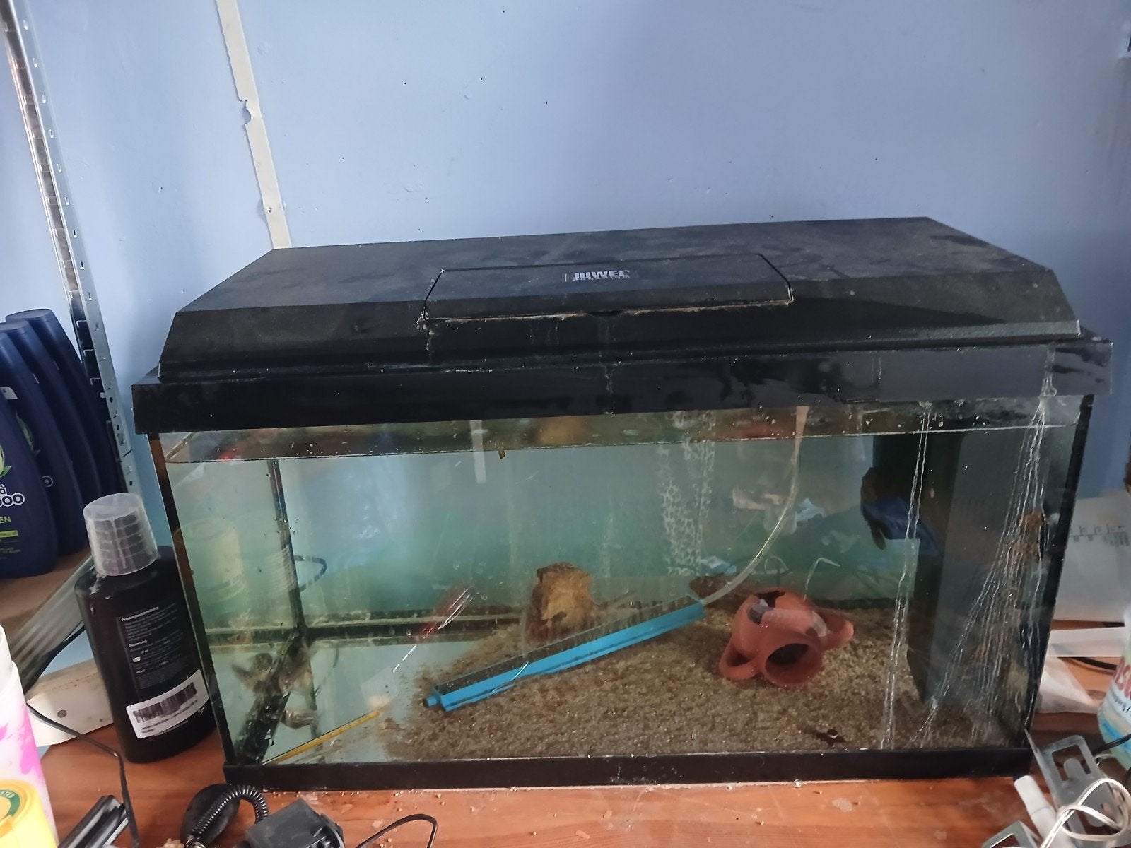 vend aquarium 6olitre, Ophalen of Verzenden, Juwel, Pomp, Gevuld zoetwateraquarium