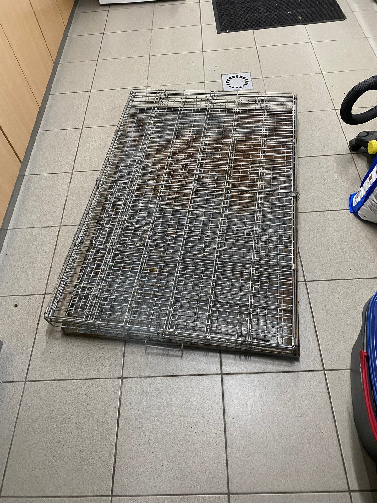 xxl bench, Dieren en Toebehoren, Ophalen, Hondenkennel, Gebruikt, 100 cm of meer