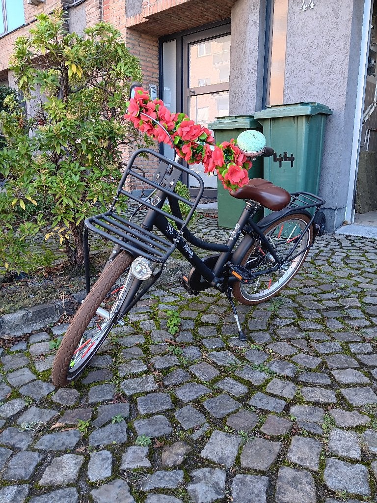 Fiets 20", Fietsen en Brommers, Ophalen, Gebruikt, Alpina, Terugtraprem