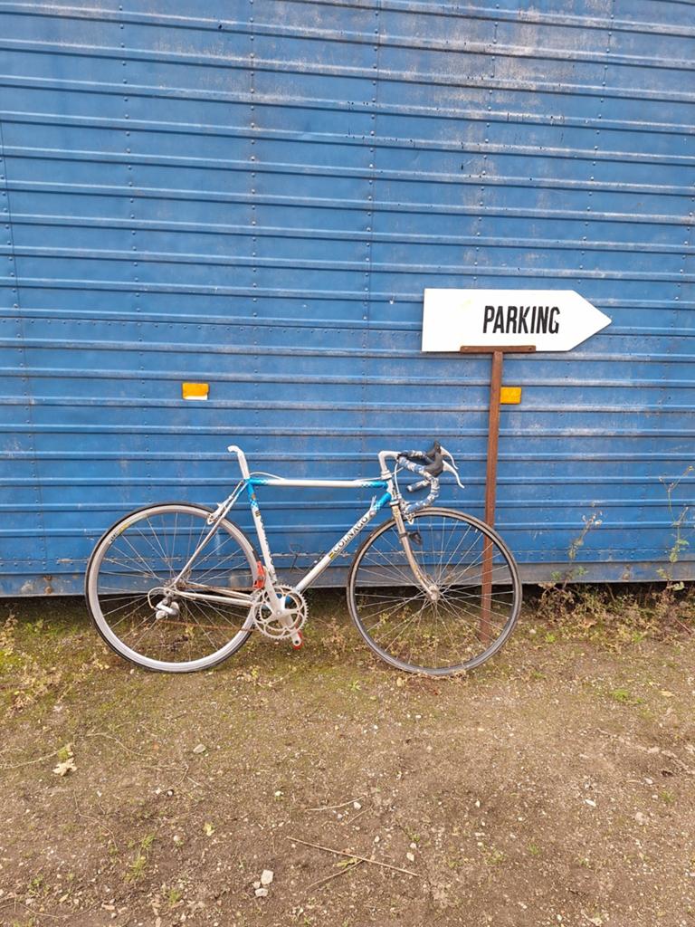 Colnago koersfiets, Fietsen en Brommers, Fietsen | Oldtimers, Ophalen