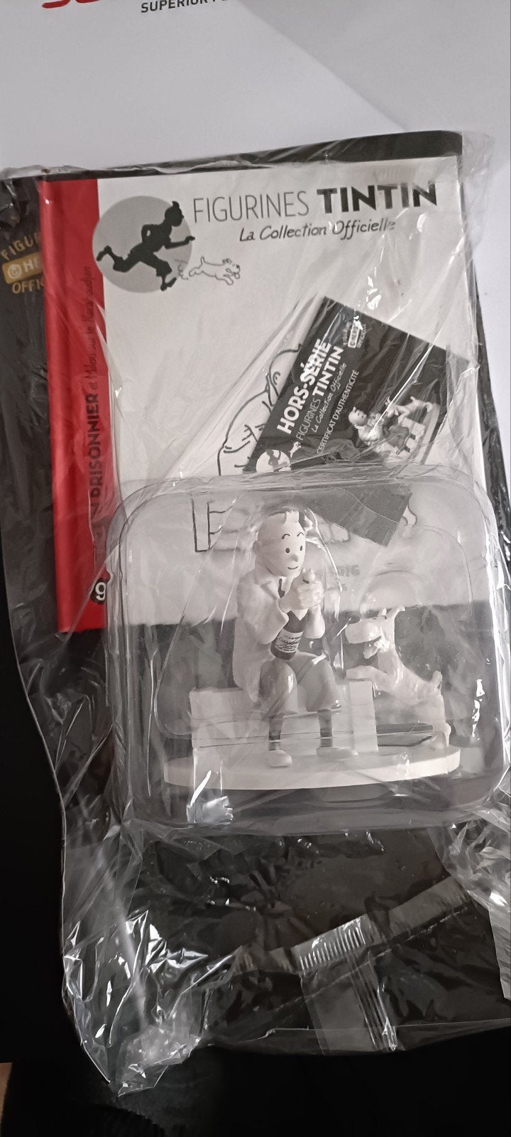 personnage Tintin.  noir et blanc, Enlèvement ou Envoi