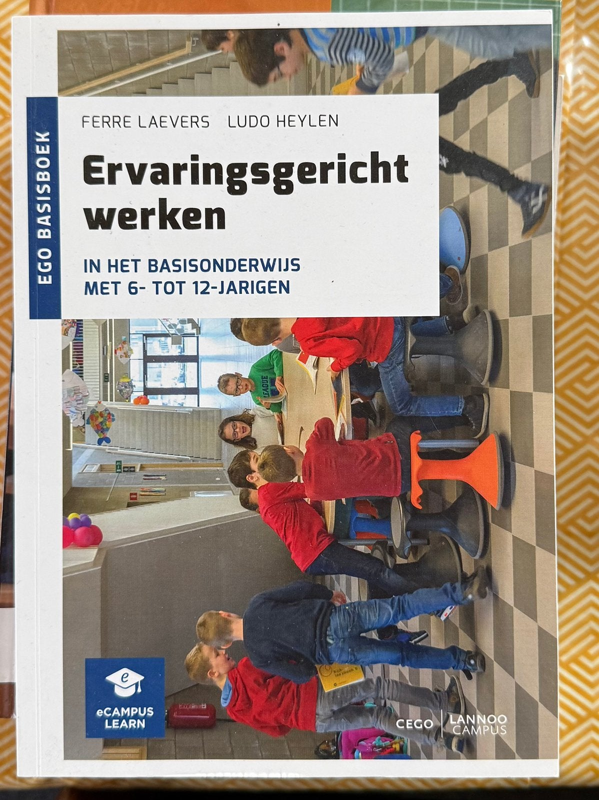 Ervaringsgericht werken in het basisonderwijs 6-12 jarigen, Ophalen, Zo goed als nieuw