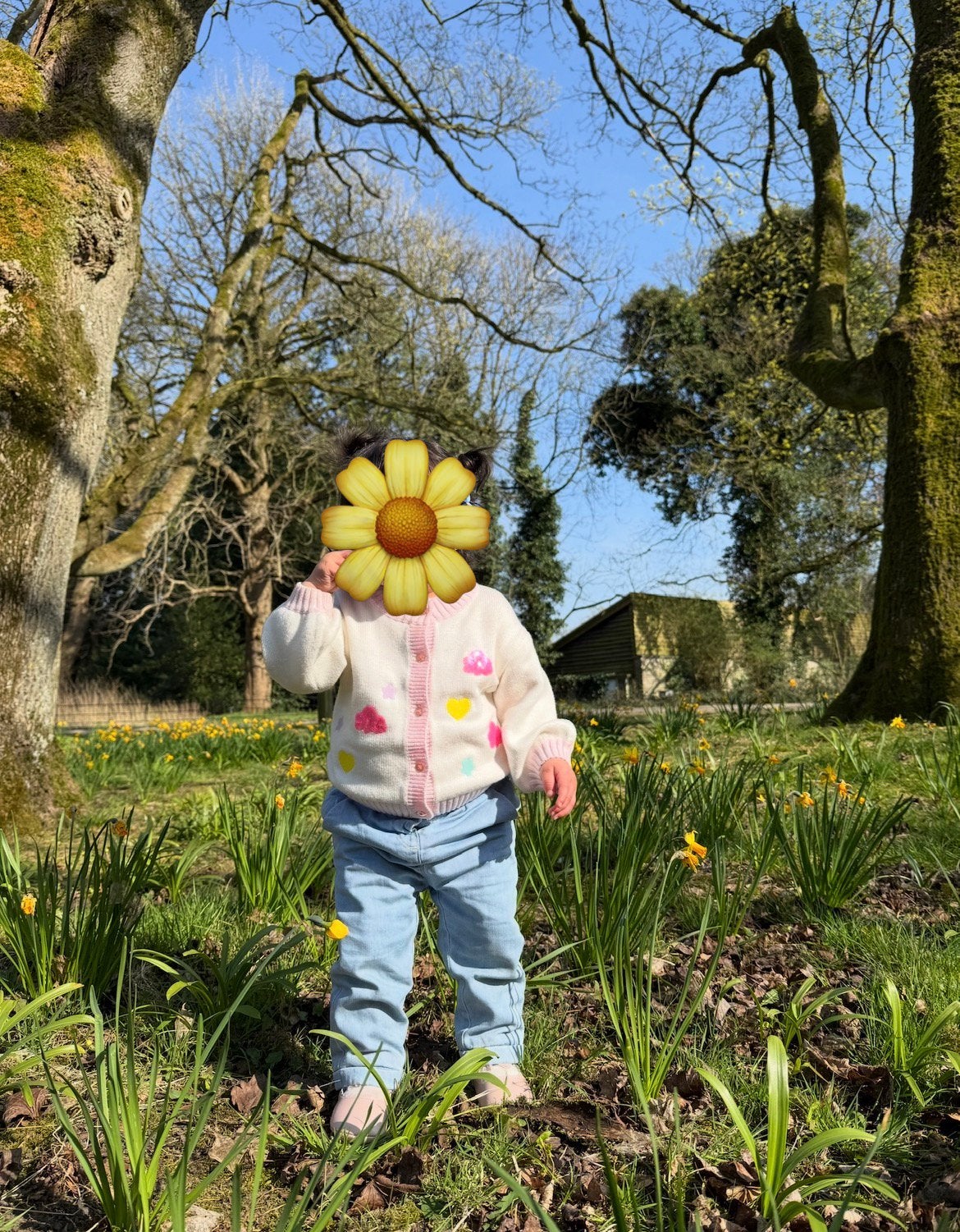 Gilet Billieblush, Enfants & Bébés, Enlèvement ou Envoi, Comme neuf, Fille, Pull ou Veste