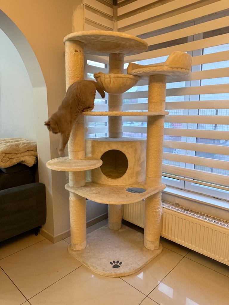 Krabpaal XL 190CM creme, Dieren en Toebehoren, Krabmeubelen, Ophalen, Gebruikt, Krabpaal