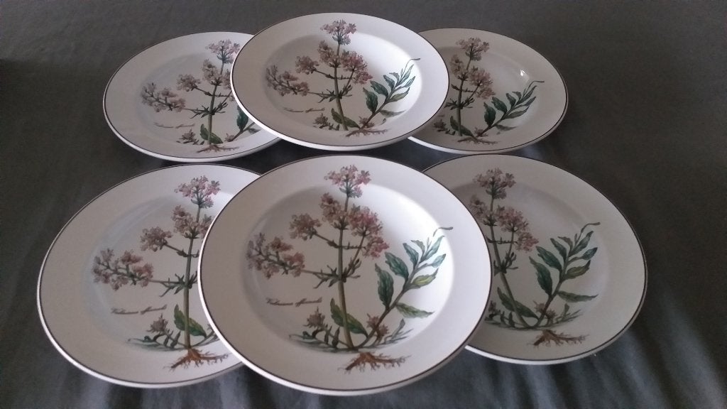 6 Soep/pasta borden uit porselein van Villeroy&Boch Botanica, Huis en Inrichting, Keuken | Servies, Nieuw, Ophalen of Verzenden