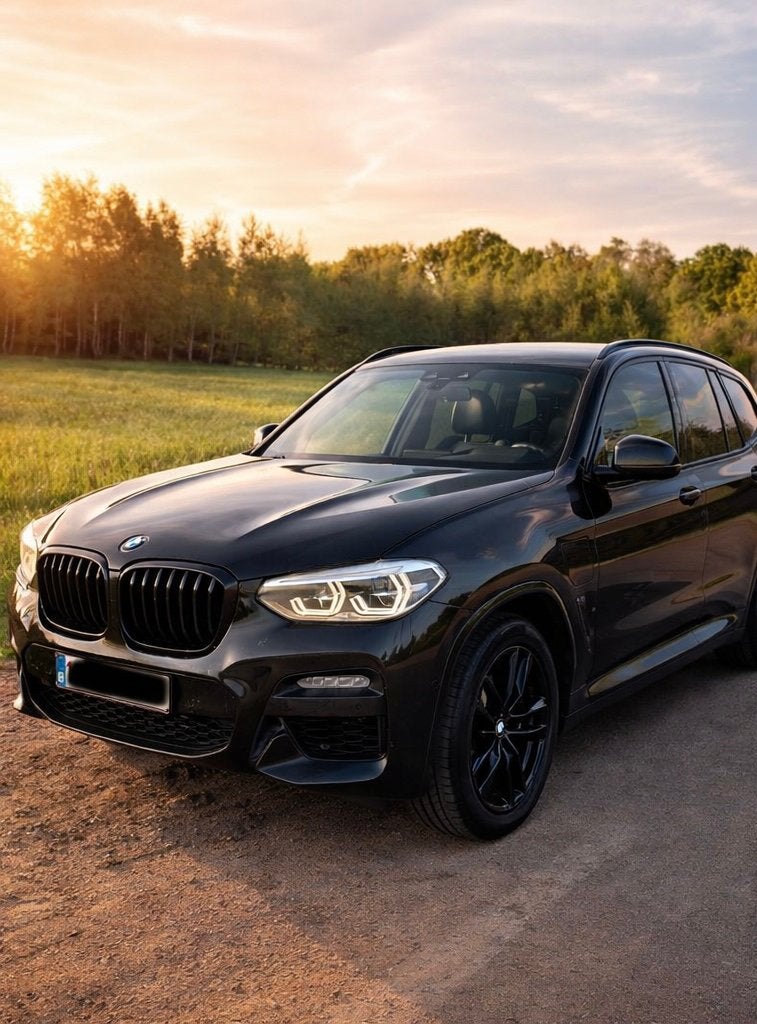 BMW X3 30e M-Sport, Autos, Cuir, Achat, Euro 6, Entretenue par le concessionnaire