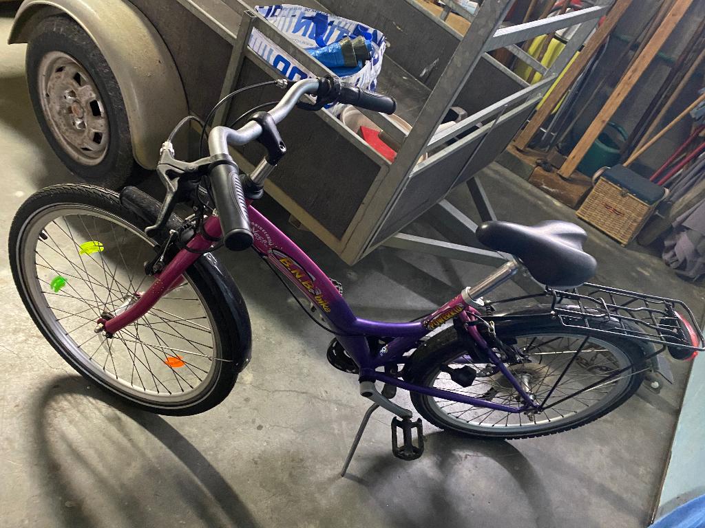 Kinderfiets, Fietsen en Brommers, Ophalen, 20 inch of meer, Gebruikt, Velgrem