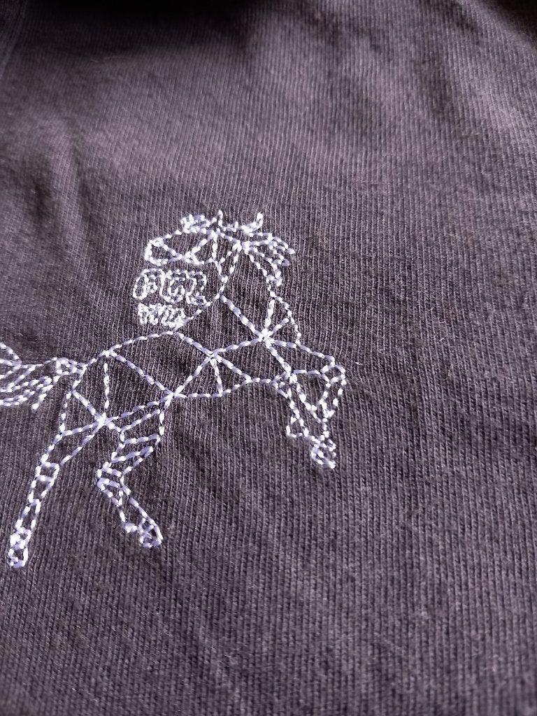 Paardrij t-shirt, lange mouw, Dieren en Toebehoren, Paardrijkleding, Ophalen, Kinderen, Zo goed als nieuw, Recreatie