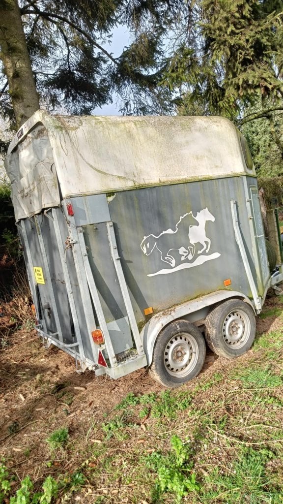 Aceko paardentrailer met opknap werk te koop., Dieren en Toebehoren, Paarden en Pony's | Trailers en Aanhangwagens, Ophalen, Gebruikt