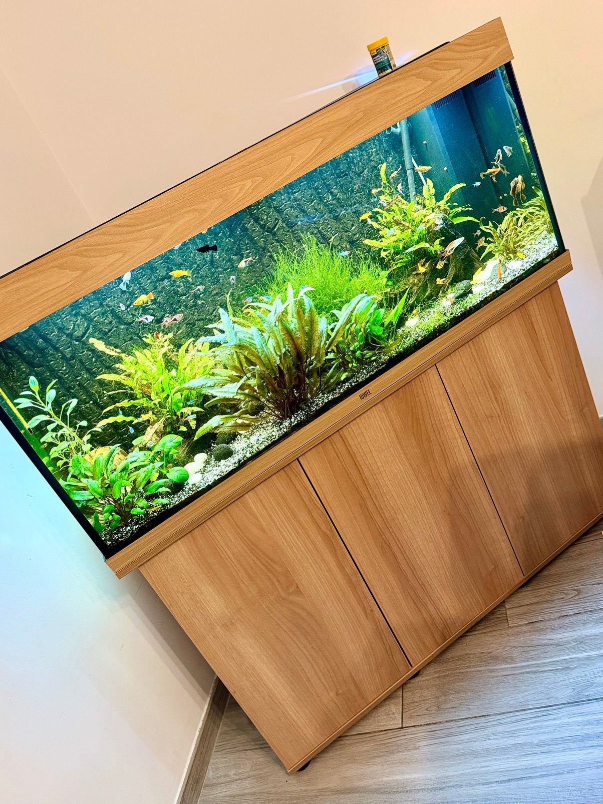 Aquarium JUWEL 240L complet + Pompe externe JBL e902., Animaux & Accessoires, Poissons | Aquariums & Accessoires, Comme neuf, Pompe