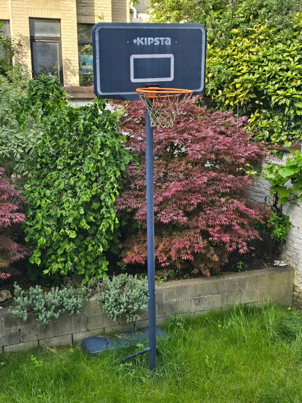 Panier de basket réglable en hauteur, Sports & Fitness, Basket