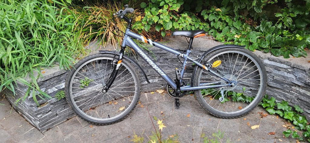 VTT enfant, Vélos & Vélomoteurs, Frein sur jante, GO SPORT, Enlèvement, Utilisé