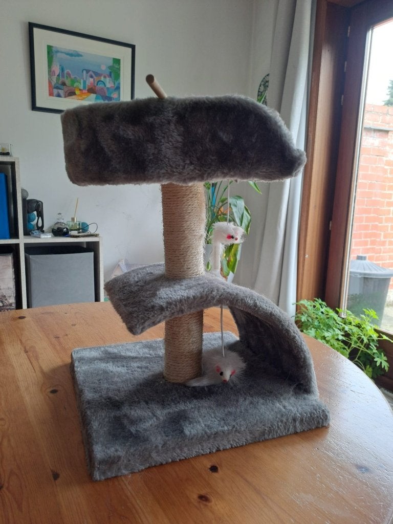 Arbre à chat, Enlèvement, Comme neuf, Pièces de meubles à gratter