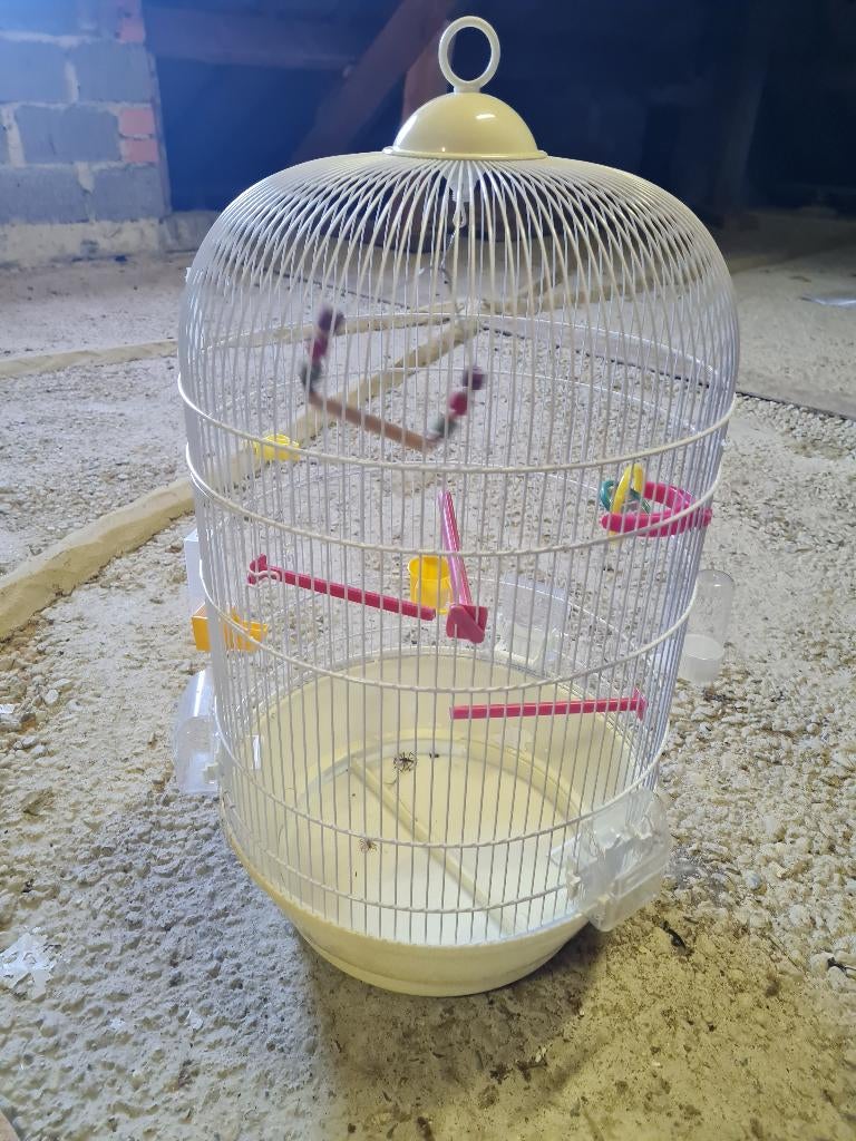 Vogelkooi, Ophalen, Gebruikt, Vogelkooi