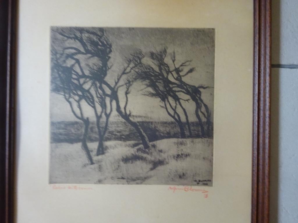 Alfons Blomme, ets, Bomen, 30 x 30 cm, Eau-forte, Signé, 30 cm, Enlèvement ou Envoi