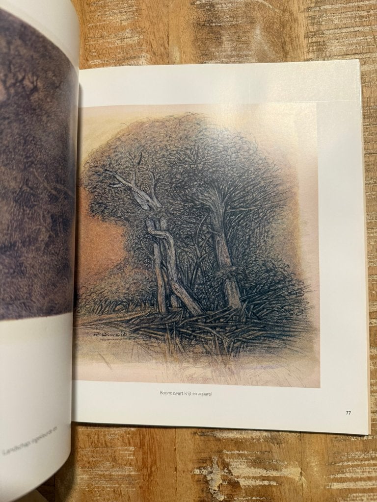 Raf Coorevits, tekeningen - aquarellen - ingekleurde etsen, Enlèvement ou Envoi, Comme neuf, Peinture et dessin