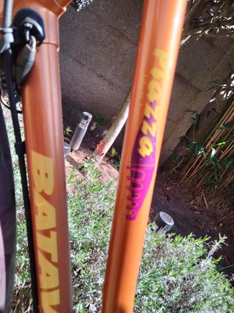 Damesfiets Batavus Piazza Special, Fietsen en Brommers, Ophalen, Batavus