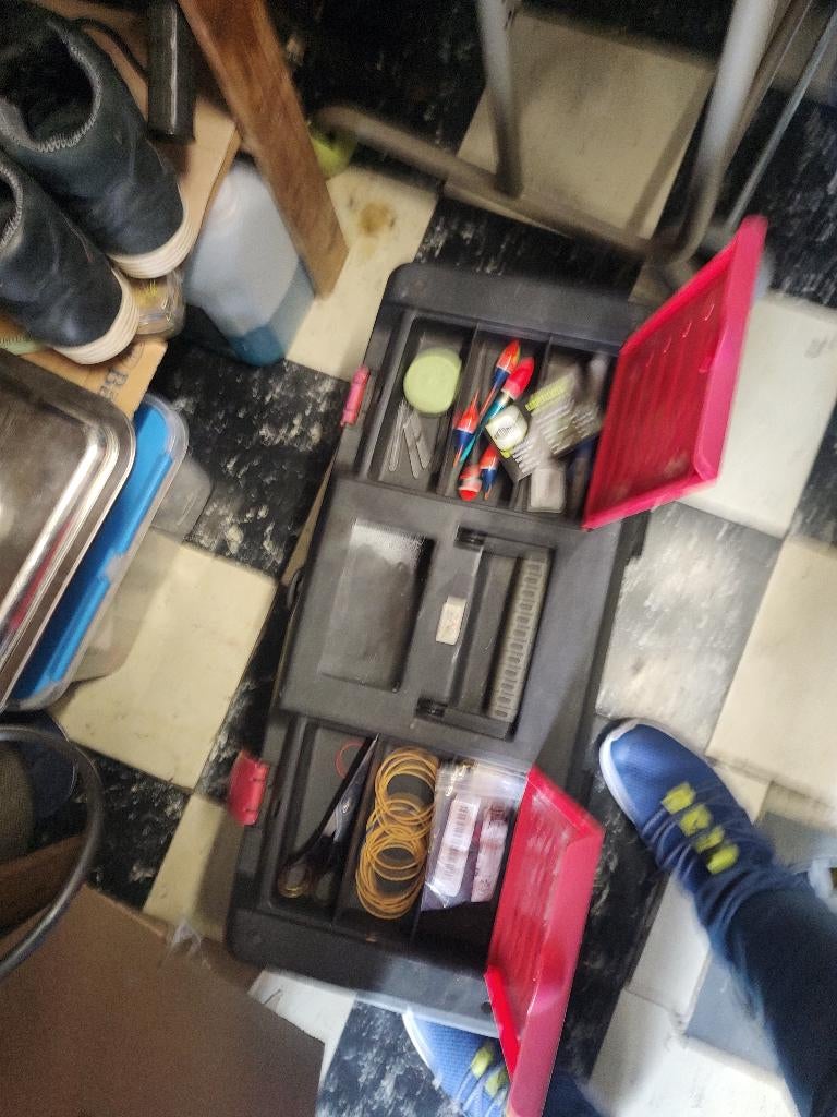 Visgerief volledig lot, Ophalen, Gebruikt, Complete hengel