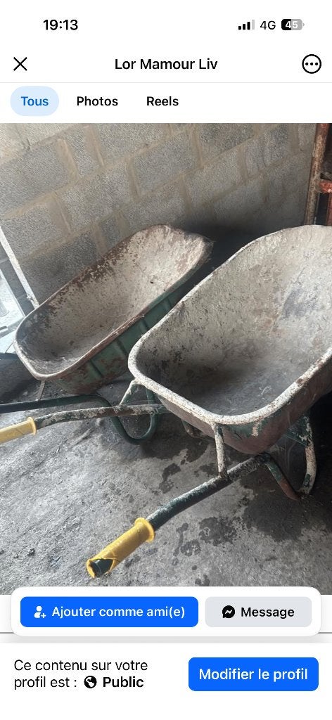 Brouettes, Jardin & Terrasse, Enlèvement, Utilisé, Manuelle, À deux roues